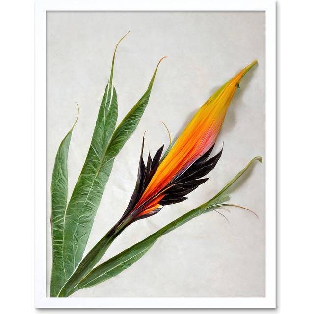 Wall Art Print Bird of Paradise Tropical Plant Flower and Leaves on White Art Framed - W12 inch x H16 inch