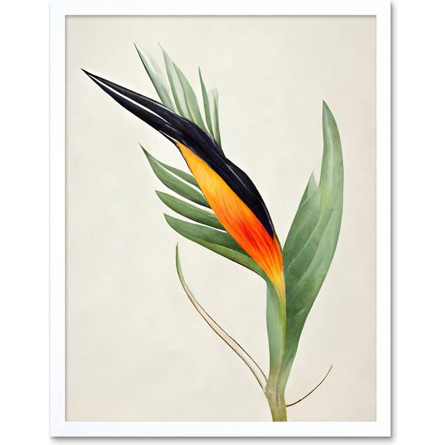Wall Art Print Tropical Bird of Paradise Flower Gold Black Art Framed - White - W12 inch x H16 inch