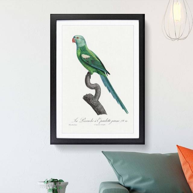 Yellow-Shouldered Amazon Macaw Parrot by F. Levaillant - Picture Frame Graphic Art Print - Black Framed (36cm H x 27cm W x 2cm D)