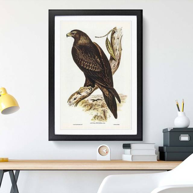 Wedge-Tailed Eagle by Elizabeth Gould - Picture Frame Painting Print - Black Framed (48cm H x 36cm W x 2cm D)