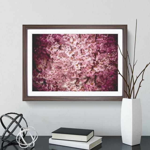 Pink Cherry Blossom Flowers Vol.5 - Picture Frame Graphic Art - Walnut Framed (36cm H x 48cm W x 2cm D)