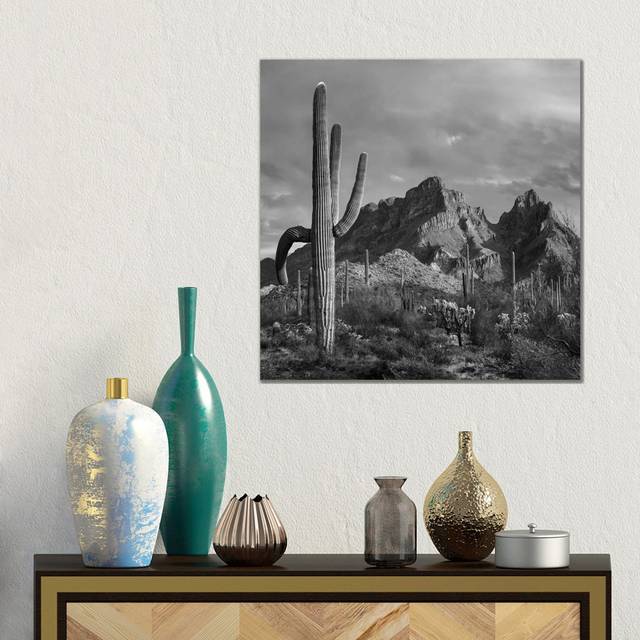 Saguaro Cacti, Ajo Mountains, Organ Pipe Cactus National Monument, Arizona by Tim Fitzharris - Gallery-Wrapped Canvas Giclée on Canvas (45.72cm H x 45.72cm W x 3.81cm D)