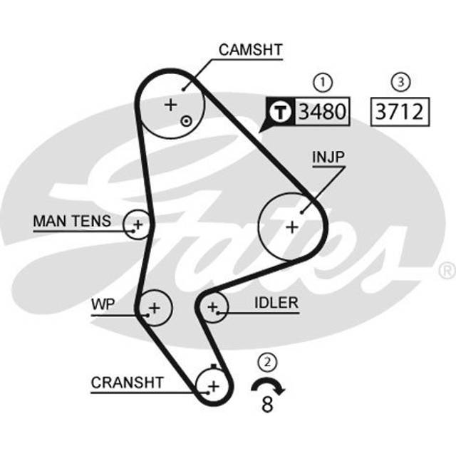 Gates 5590XS Timing Belt
