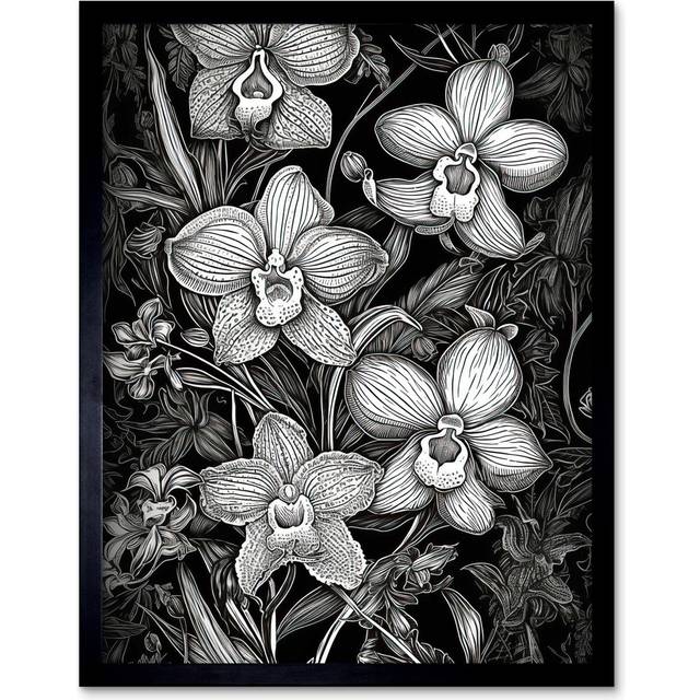 Toynsbee White On Black Blooming Orchid Flower Plants - Single Picture Frame Art Prints - Multicoloured (43.3cm H X 33.3cm W)