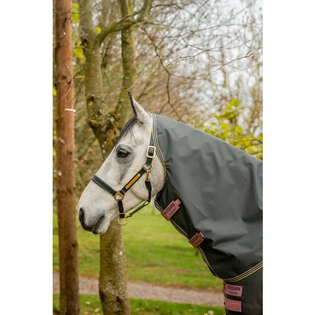 Halstäcke Amigo Hero Ripstop Lite Horseware® Blå