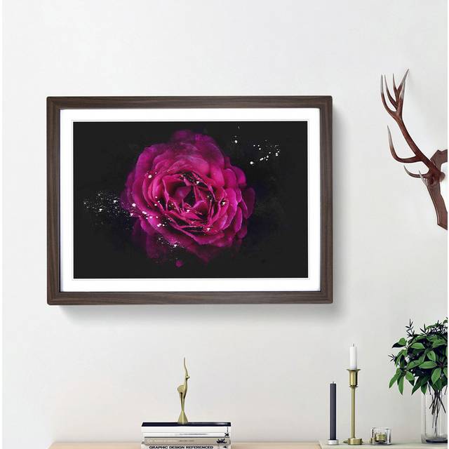 Fuscia Pink Carnation - Picture Frame Graphic Art Print - Walnut Framed (62cm H x 87cm W x 2cm D)