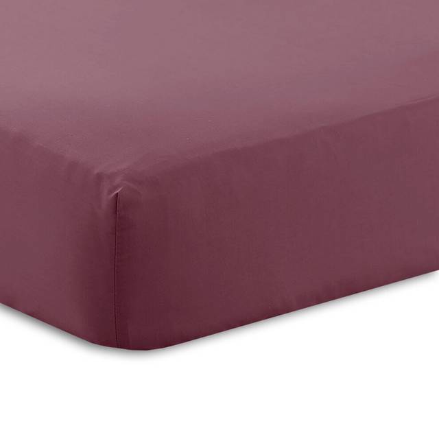 Charlotte Thomas Poetry Plain Single Fitted Sheet - Aubergine - Purple (Single)
