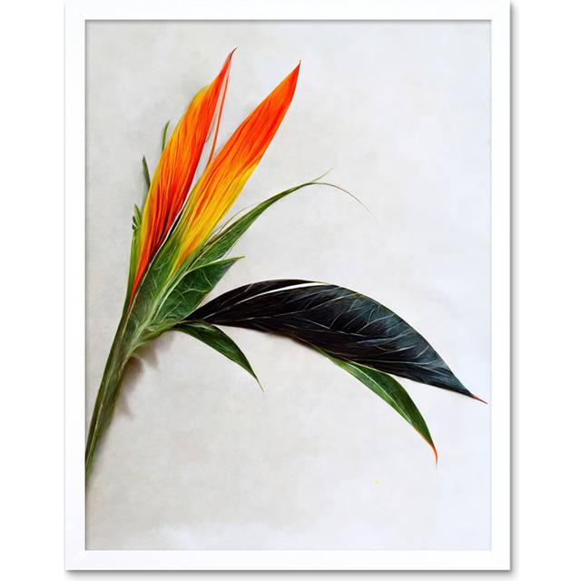 Tropical Plant Bird of Paradise Flower Bloom - Art Prints - White Framed Unframed (25.9cm H x 20.6cm W x 1.5cm D)
