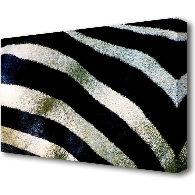 &#39;Zebra Stripes Modern&#39; Photographic Print on Canvas (101.6 cm H x 142.2 cm W)