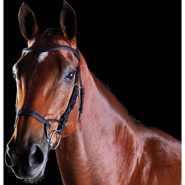 Collegiate ComFiTec Training Bridle, Black