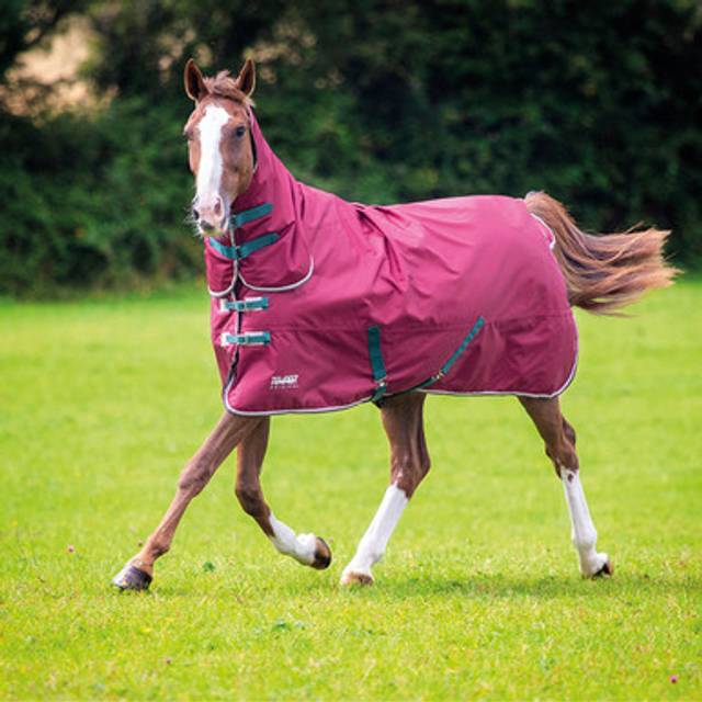 Shires Tempest Original 200g Combo Turnout Rug, Blue