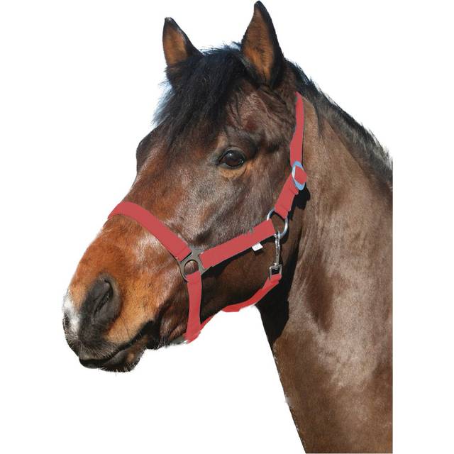 HorseGuard Nylongrimma - Svart (X-FULL)