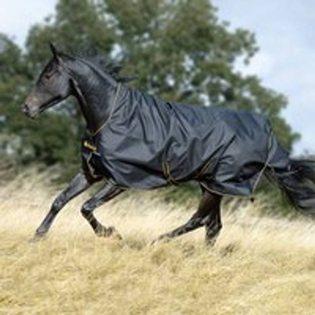 Bucas Irish Turnout 50 g High Neck Utetäcke - Svart/Guld (130)