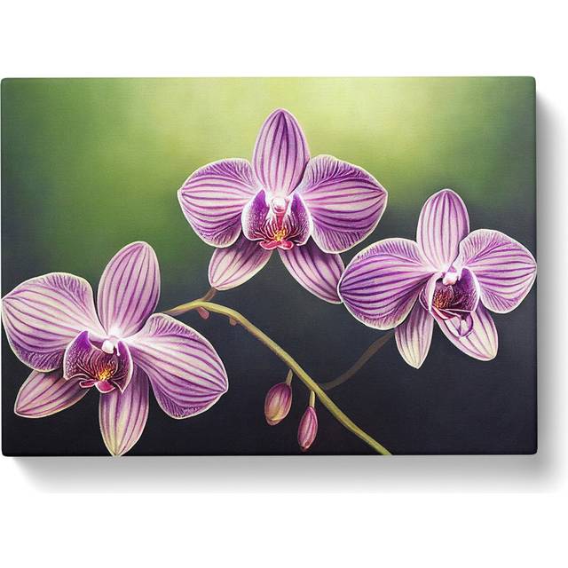 Supreme Orchid Flowers - Wrapped Canvas Graphic Art - Black;Green;Pink (40cm H x 60cm W x 3cm D)