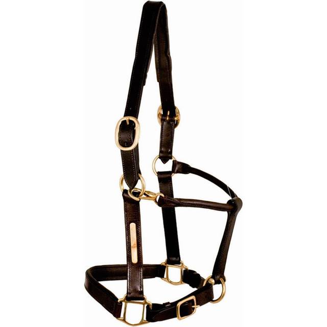 Leather halter for horse quilted skin Tattini - Noir