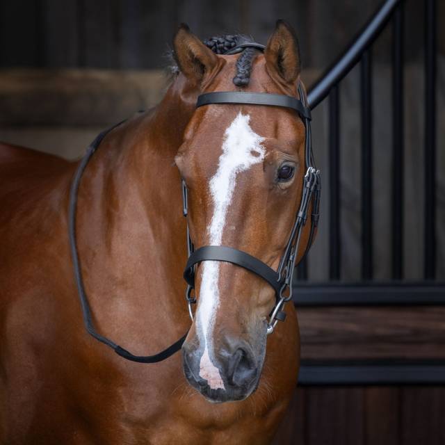 Velociti RAPIDA Hunter Cavesson Bridle - Black