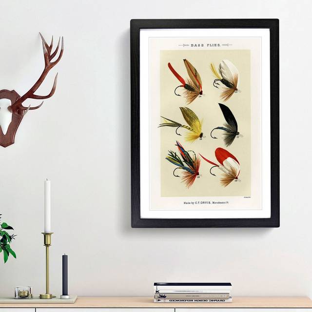 Bass Fishing Flies Versions 2 by Mary Orvis Marbury - Picture Frame Painting Print - Black Framed (48cm H x 36cm W x 2cm D)