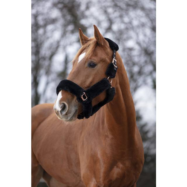 EQUITHEME 'Teddy Pink Gold' Grimma Svart (Full)