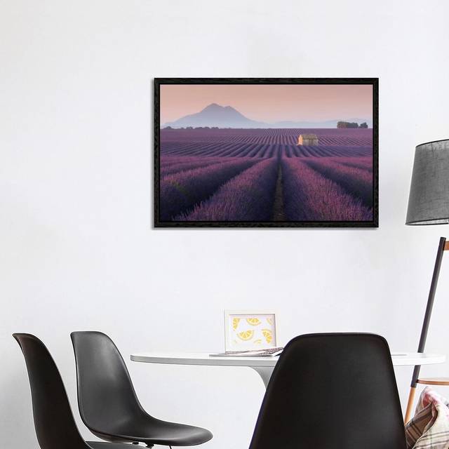Lavender Fields of Provence III by Daniel Kordan - Photograph Print on Canvas - Black Framed (101.6 cm H x 66.04 cm W)