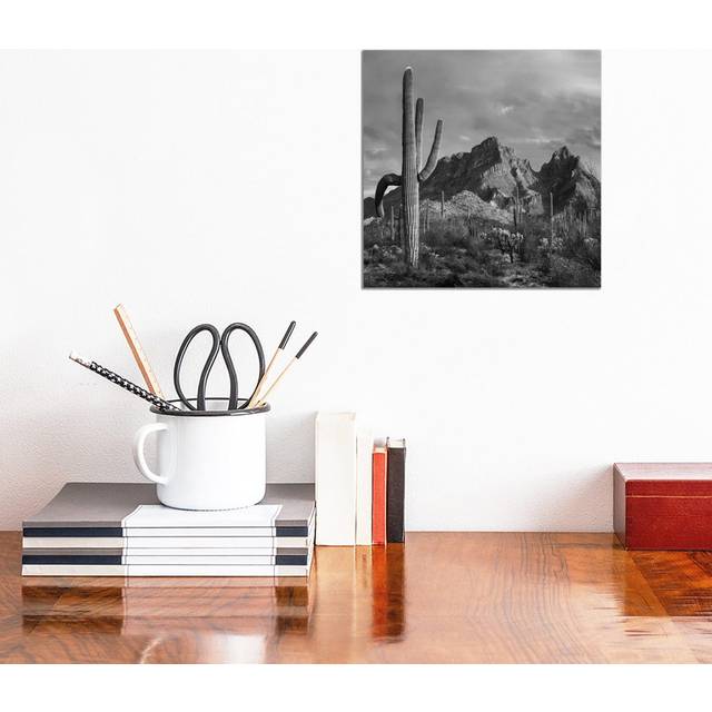 Saguaro Cacti, Ajo Mountains, Organ Pipe Cactus National Monument, Arizona by Tim Fitzharris - Gallery-Wrapped Canvas Giclée on Canvas (30.48cm H x 30.48cm W x 1.91cm D)
