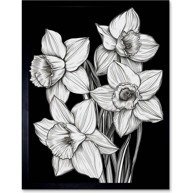 Nagao Daffodil Wildflower Plant Blooms Black And White - Single Picture Frame Art Prints - Multicoloured (43.3cm H X 33.3cm W)