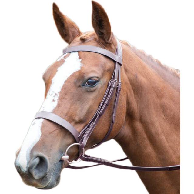 (Small Pony, Havana) Avignon Hunter Leather Horse Cavesson Bridle