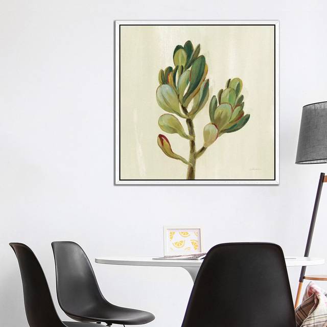 Front Yard Succulent II by Silvia Vassileva - Gallery-Wrapped Canvas Giclée on Canvas - White Framed (93.98cm H x 93.98cm W x 3.81cm D)
