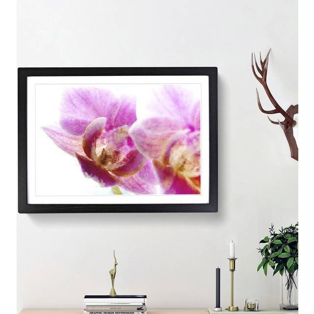 A Pink Orchid Flower - Picture Frame Photograph Print - Black Framed (33cm H x 45cm W x 2cm D)