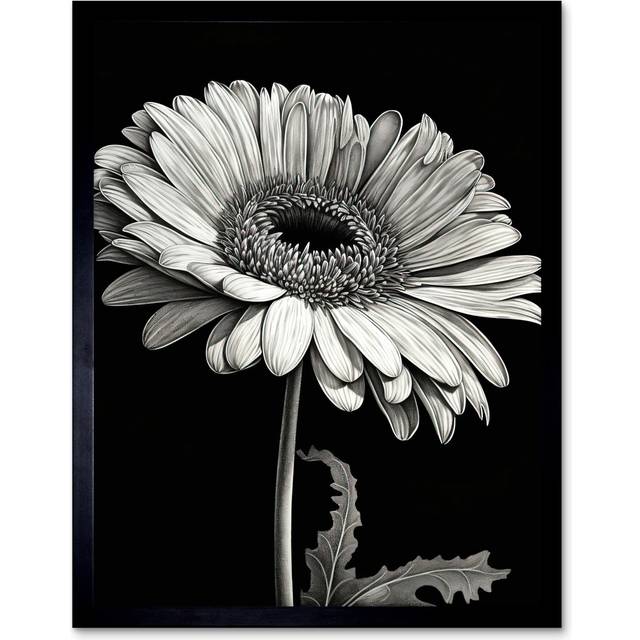 Angelette Black And White Pencil Drawing Of A Gerbera Flower - Print - Multicoloured (43.3cm H X 33.3cm W)
