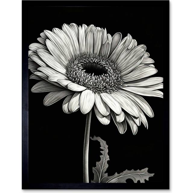 Wava Black and White Pencil Drawing of a Gerbera Flower - Single Picture Frame Art Prints - Multicoloured (25.9cm H X 20.6cm W)
