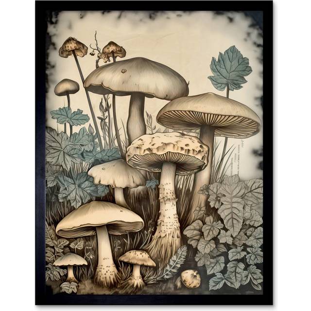 Aksoyn Mushroom Fungi - Single Picture Frame Art Prints - Multicolour (43.3cm H X 33.3cm W)