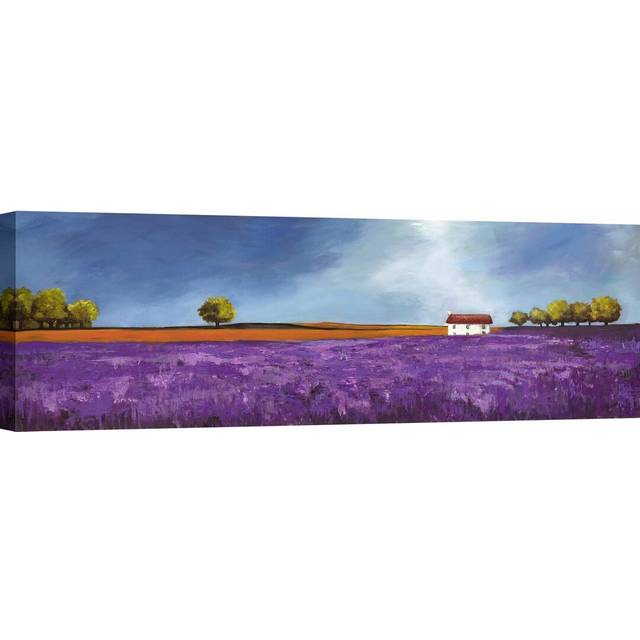 &#39;Field of Lavender&#39; by Philip Bloom - Wrapped Canvas Painting Print (50cm H x 150cm W x 4cm D)