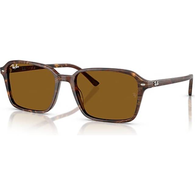 Ray-Ban Raimond - RB2231