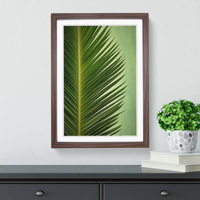 Palm Leaf Symbolism - Single Picture Frame Art Prints on Wood - Walnut Framed (64cm H x 46cm W x 2&#34; D)