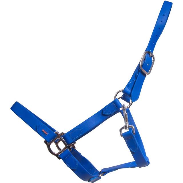Halter for horse Karlslund - Bleu