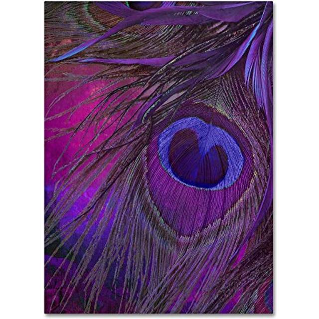 Trademark Fine Art ALI4258-C2432GG Peacock Candy IV  24x32-Inch  24 in x 32 in