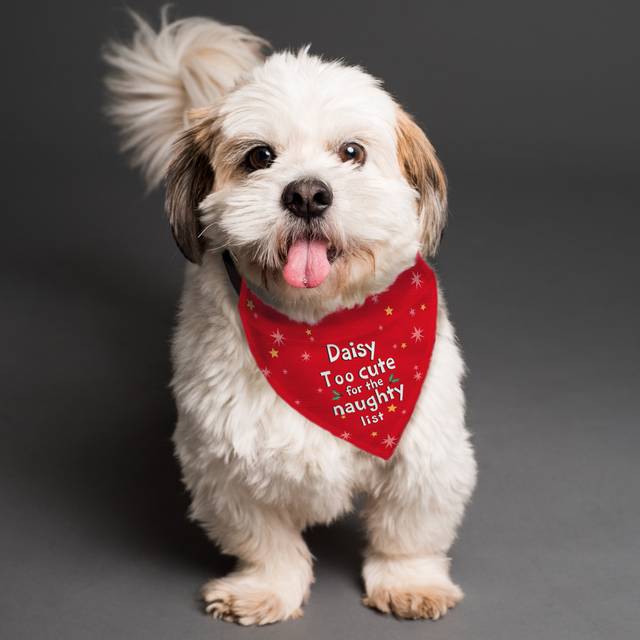 'Too cute for the naughty list' Dog Bandana - Red - One Size - Personalised Memento Company