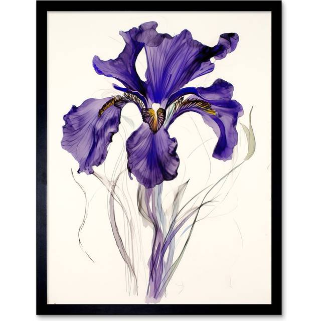 Momsen Iris Reticulata Flower Bloom Drawing - Single Picture Frame Art Prints - Multicoloured (43.3cm H X 33.3cm W)