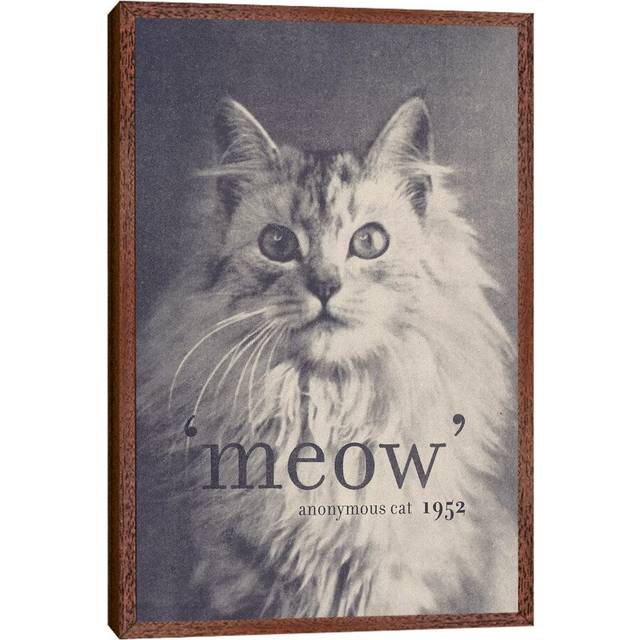 'Famous Quotes (Cat)' - Floater Frame Graphic Art Print on Canvas - Brown Framed (152.5 cm H x 101.5 cm W)