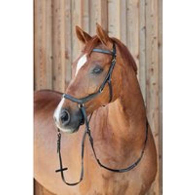 Snaffle bridles with combination noseband for horses without bit Horze Orlando - Noir