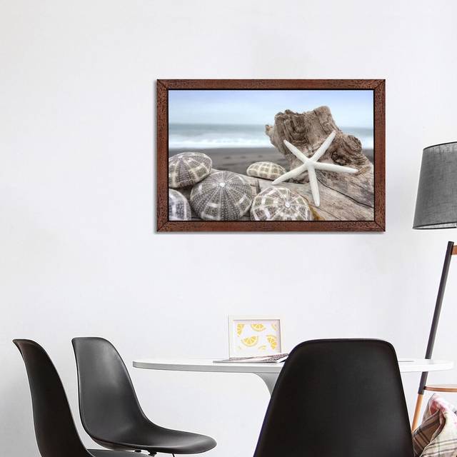 &#39;Crescent Beach Shells V&#39; by Alan Blaustein - Floater Frame PhotographPrint on Canvas - Brown Framed (101.6 cm H x 66.04 cm W)