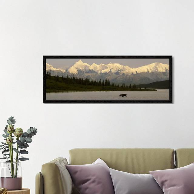 Moose Standing On A Frozen LakeWonder Lake, Denali National Park, Alaska, USA by Panoramic Images - Floater Frame Panoramic Gallery-Wrapped Canvas Gic - Black (40.64cm H x 121.92cm W)