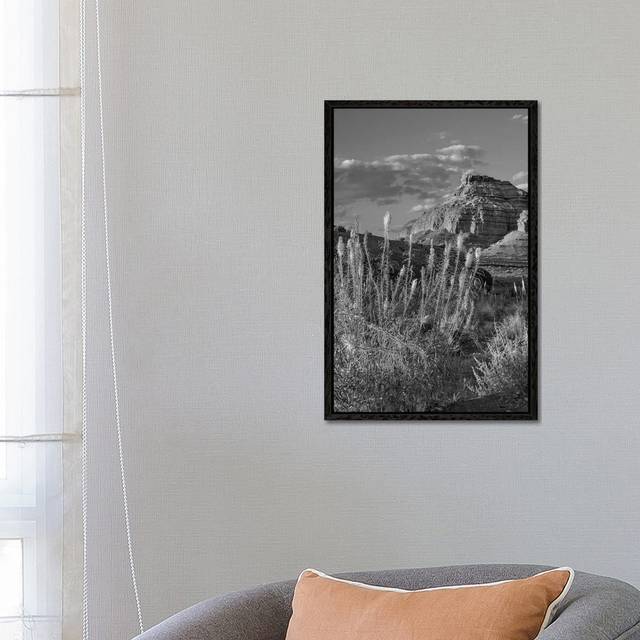 Miner&#39;s Candle Flowers, Echo Canyon, Vermilion Cliffs National Monument, Arizona by Tim Fitzharris - Gallery-Wrapped Canvas Giclée on Canvas - Black Framed (66.04cm H x 45.72cm W x 3.81cm D)