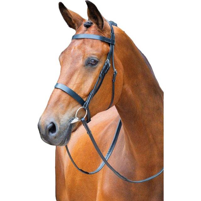 (Small Pony, Black) Salisbury Berrington Leather Horse Bridle