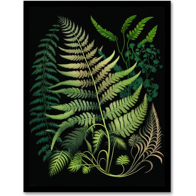 Elegant Fern Fronds Botanical Foliage Artwork Green Black - Single Picture Frame Art Prints (43.3cm H X 33.3cm W)