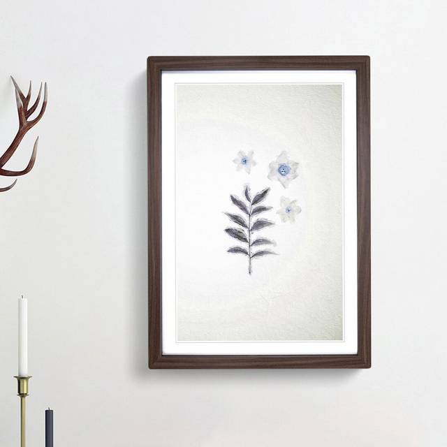 White Daffodil Dismantled - Picture Frame Art Prints - Walnut Framed (48cm H x 36cm W x 2cm D)