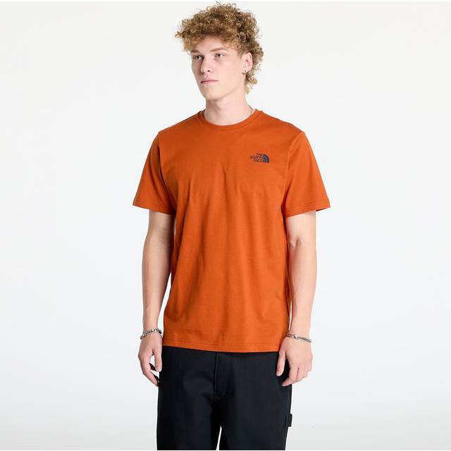 THE NORTH FACE Redbox Celebration T-Shirt earthen copper
