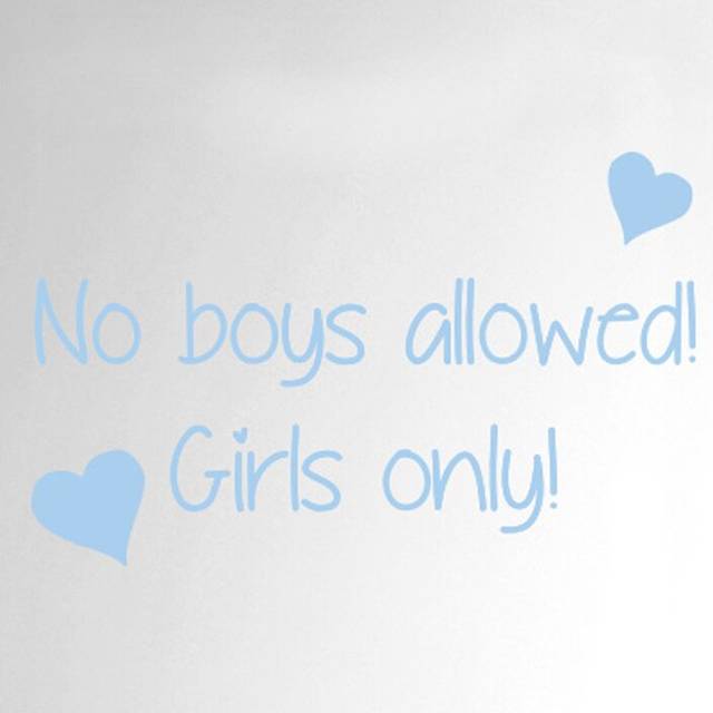 No Boys Allowed Girls Only Door Room Wall Sticker - Light Blue (25cm H X 40cm W)