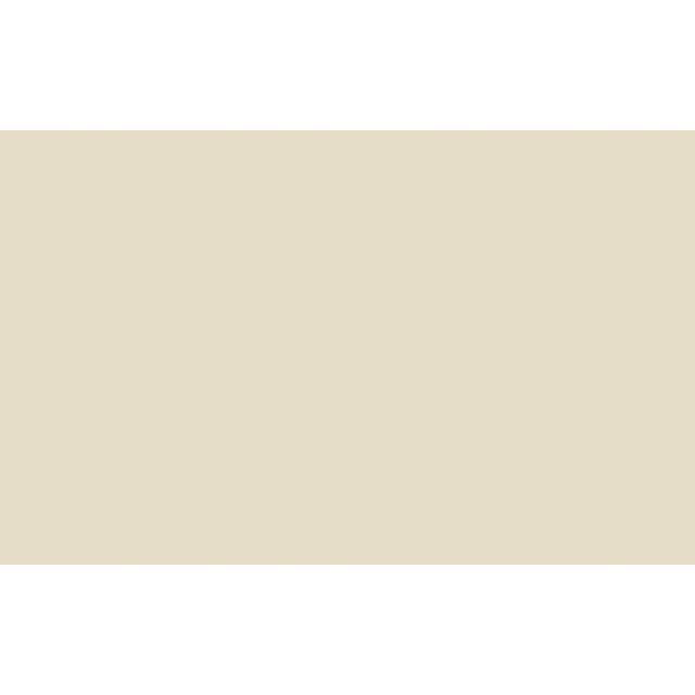 The Little Greene Paint Company Absolute Matt Emulsion, Light Stone Neutrals