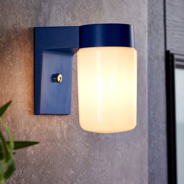 Elements Taylor Industrial Outdoor Wall Light - Blue
